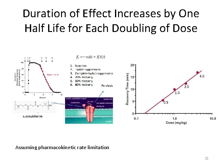 Duration of Effect Increases by One Half Life for Each Doubling of Dose 4.