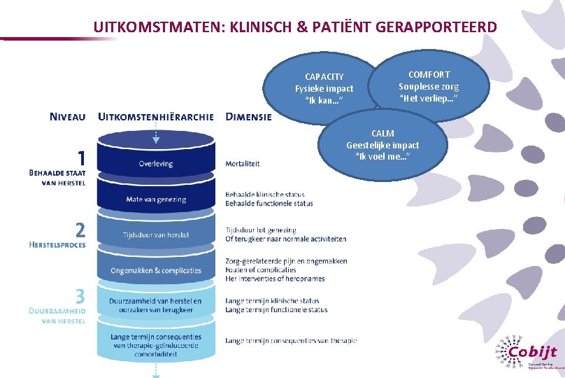 UITKOMSTMATEN: KLINISCH & PATIËNT GERAPPORTEERD CAPACITY Fysieke impact “Ik kan…” COMFORT Souplesse zorg “Het