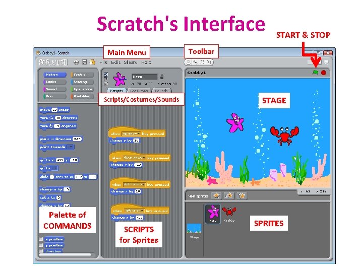Scratch's Interface Main Menu Scripts/Costumes/Sounds Palette of COMMANDS SCRIPTS for Sprites START & STOP
