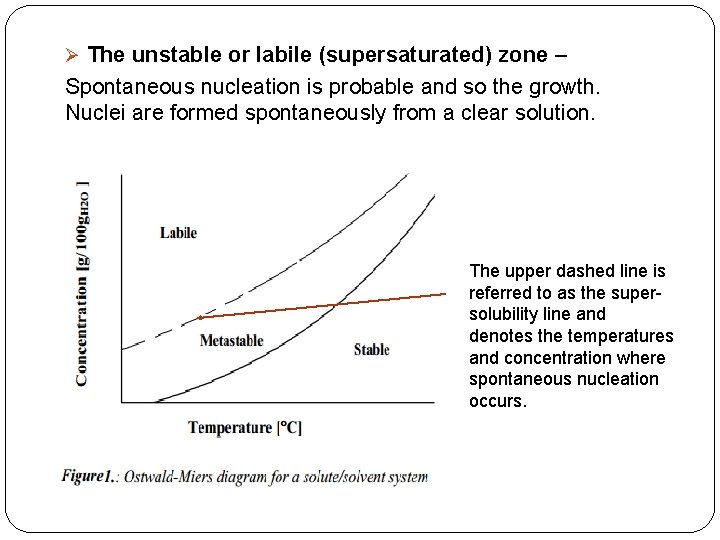 Ø The unstable or labile (supersaturated) zone – Spontaneous nucleation is probable and so