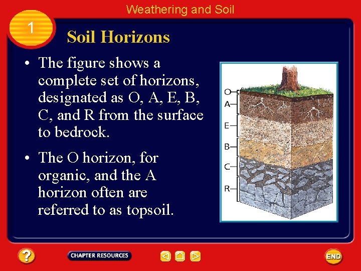 Weathering and Soil 1 Soil Horizons • The figure shows a complete set of