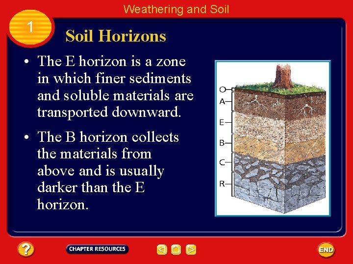 Weathering and Soil 1 Soil Horizons • The E horizon is a zone in