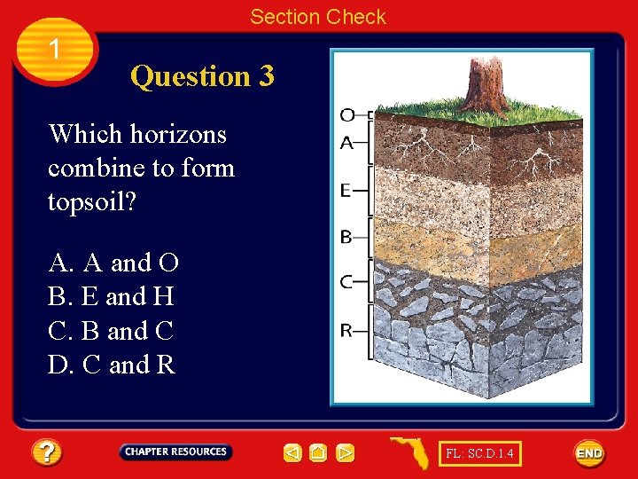 Section Check 1 Question 3 Which horizons combine to form topsoil? A. A and