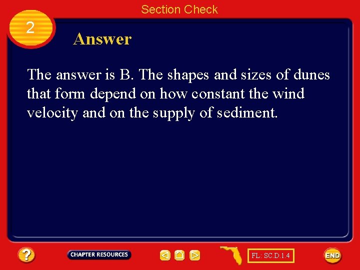 Section Check 2 Answer The answer is B. The shapes and sizes of dunes