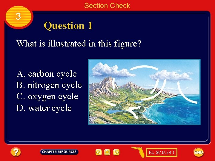 Section Check 3 Question 1 What is illustrated in this figure? A. carbon cycle