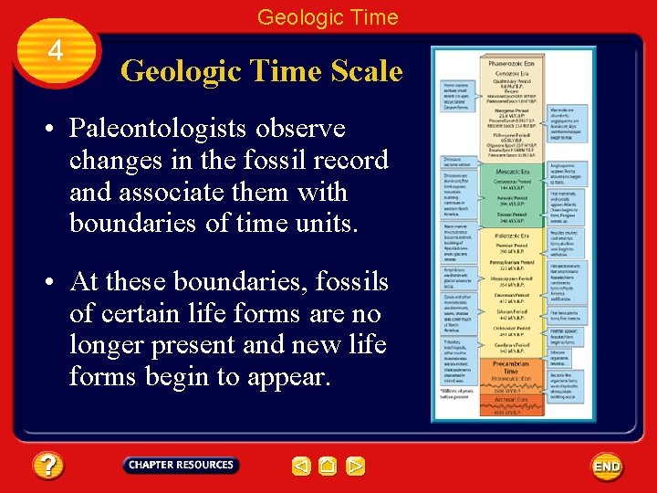 Geologic Time 4 Geologic Time Scale • Paleontologists observe changes in the fossil record