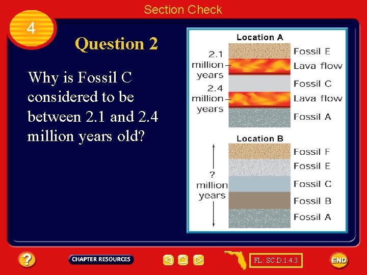 Section Check 4 Question 2 Why is Fossil C considered to be between 2.