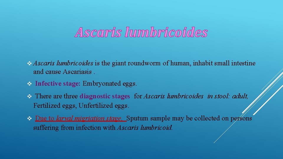 Ascaris lumbricoides v Ascaris lumbricoides is the giant roundworm of human, inhabit small intestine