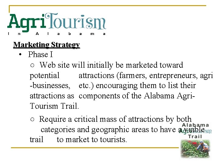 Marketing Strategy • Phase I ○ Web site will initially be marketed toward potential