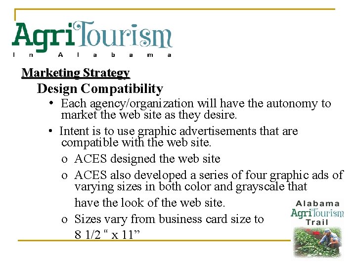 Marketing Strategy Design Compatibility • Each agency/organization will have the autonomy to market the