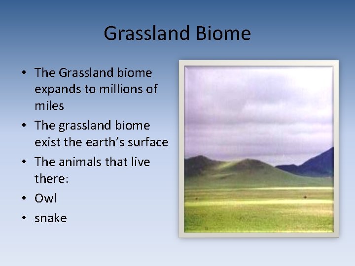 Grassland Biome • The Grassland biome expands to millions of miles • The grassland