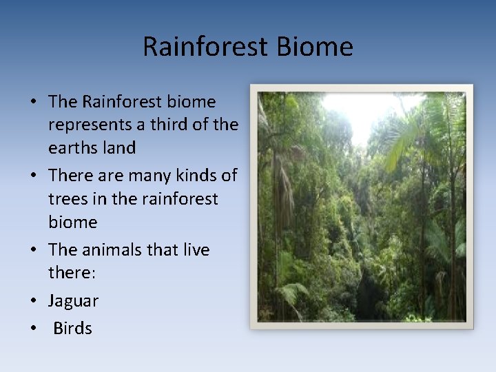 Rainforest Biome • The Rainforest biome represents a third of the earths land •