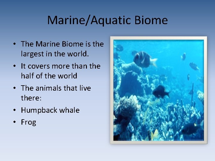 Marine/Aquatic Biome • The Marine Biome is the largest in the world. • It