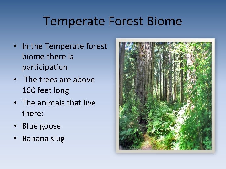 Temperate Forest Biome • In the Temperate forest biome there is participation • The