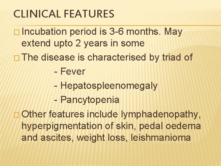 CLINICAL FEATURES � Incubation period is 3 -6 months. May extend upto 2 years
