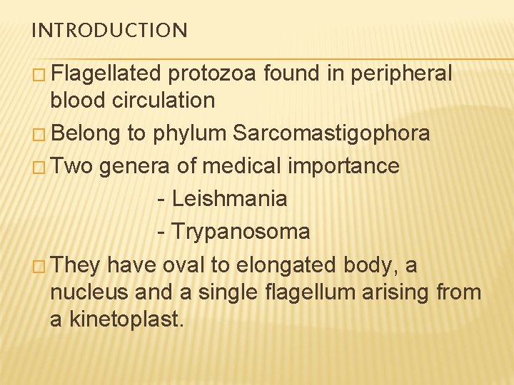 INTRODUCTION � Flagellated protozoa found in peripheral blood circulation � Belong to phylum Sarcomastigophora