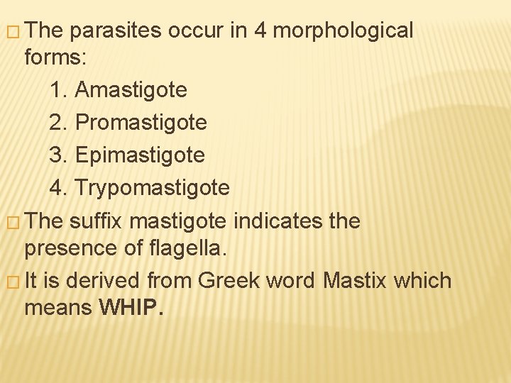 � The parasites occur in 4 morphological forms: 1. Amastigote 2. Promastigote 3. Epimastigote