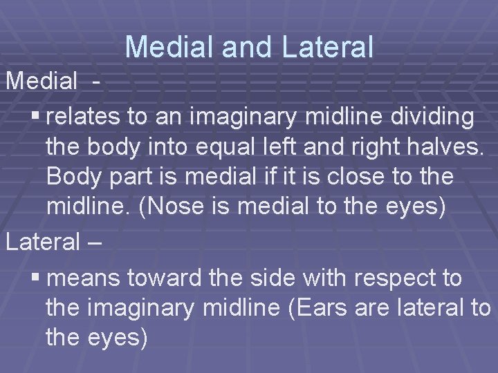 Medial and Lateral Medial § relates to an imaginary midline dividing the body into