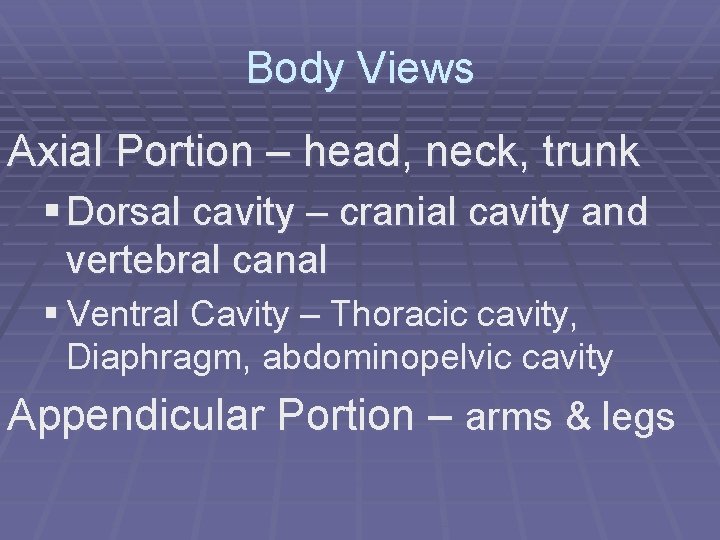 Body Views Axial Portion – head, neck, trunk § Dorsal cavity – cranial cavity