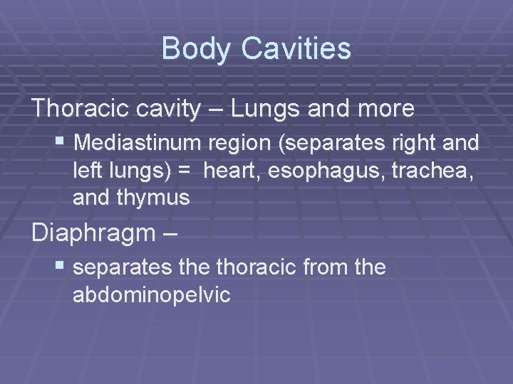 Body Cavities Thoracic cavity – Lungs and more § Mediastinum region (separates right and