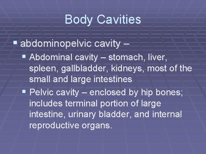 Body Cavities § abdominopelvic cavity – § Abdominal cavity – stomach, liver, spleen, gallbladder,
