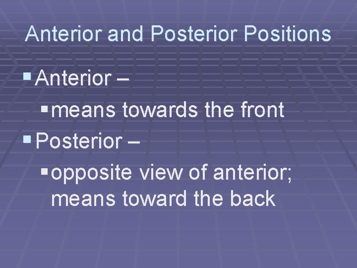 Anterior and Posterior Positions § Anterior – § means towards the front § Posterior