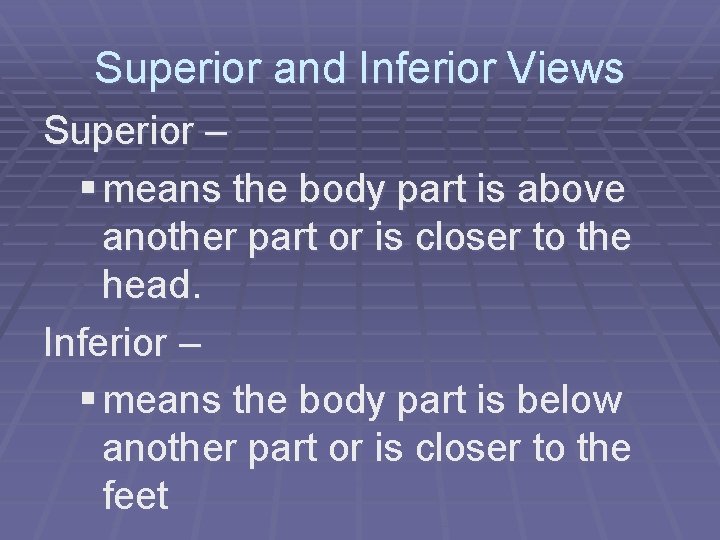 Superior and Inferior Views Superior – § means the body part is above another