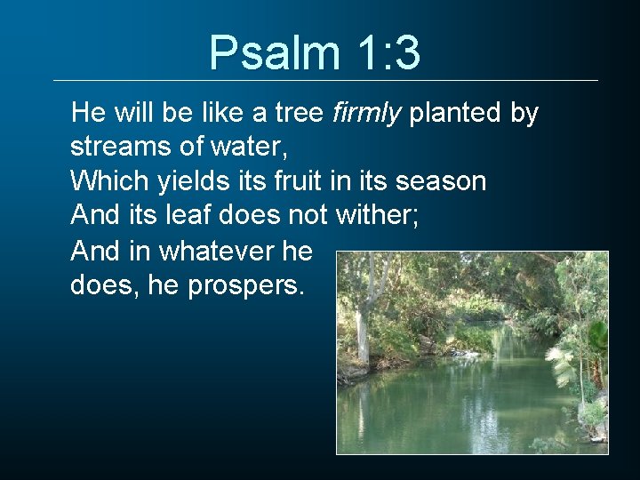 Psalm 1: 3 He will be like a tree firmly planted by streams of