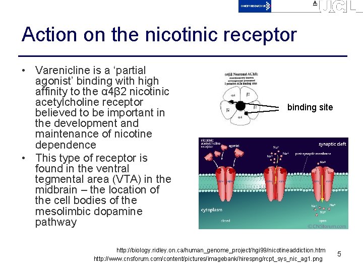 Action on the nicotinic receptor • Varenicline is a ‘partial agonist’ binding with high