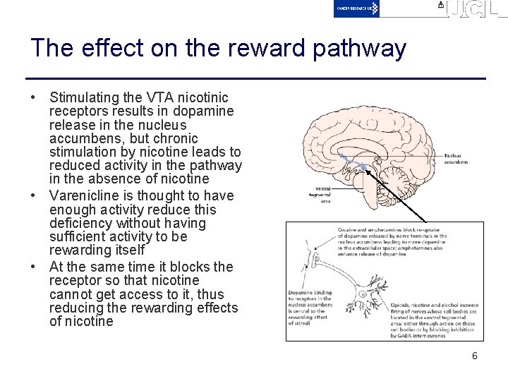 The effect on the reward pathway • Stimulating the VTA nicotinic receptors results in