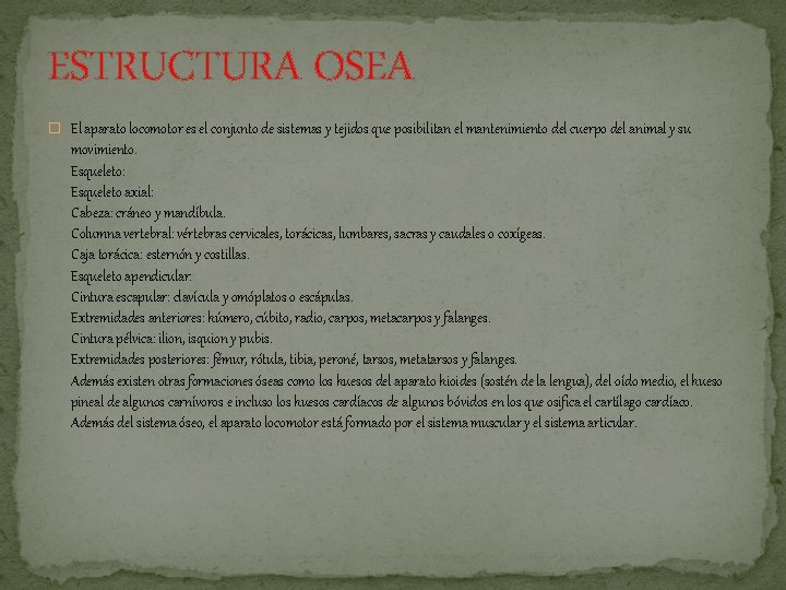 ESTRUCTURA OSEA � El aparato locomotor es el conjunto de sistemas y tejidos que