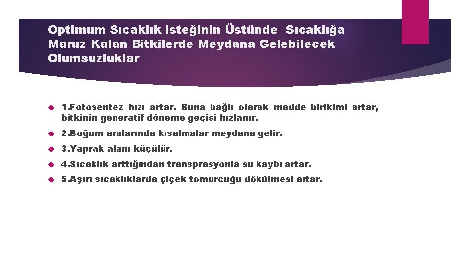 Optimum Sıcaklık isteğinin Üstünde Sıcaklığa Maruz Kalan Bitkilerde Meydana Gelebilecek Olumsuzluklar 1. Fotosentez hızı