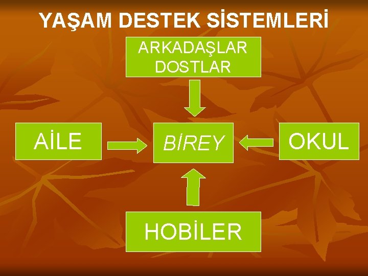 YAŞAM DESTEK SİSTEMLERİ ARKADAŞLAR DOSTLAR AİLE BİREY HOBİLER OKUL 