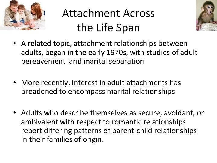 Attachment Across the Life Span • A related topic, attachment relationships between adults, began