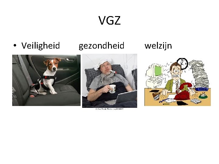 VGZ • Veiligheid gezondheid welzijn 