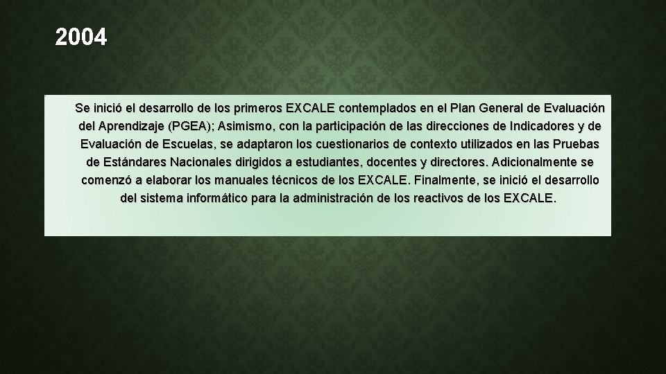 2004 Se inició el desarrollo de los primeros EXCALE contemplados en el Plan General