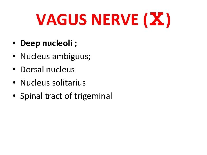 VAGUS NERVE (Ⅹ) • • • Deep nucleoli ; Nucleus ambiguus; Dorsal nucleus Nucleus