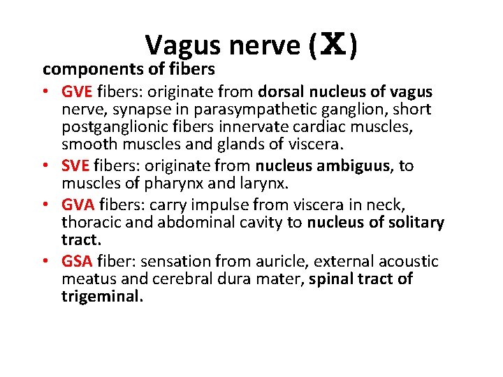 Vagus nerve (Ⅹ) components of fibers • GVE fibers: originate from dorsal nucleus of