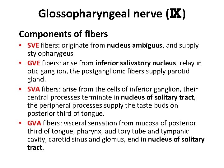 Glossopharyngeal nerve (Ⅸ) Components of fibers • SVE fibers: originate from nucleus ambiguus, and