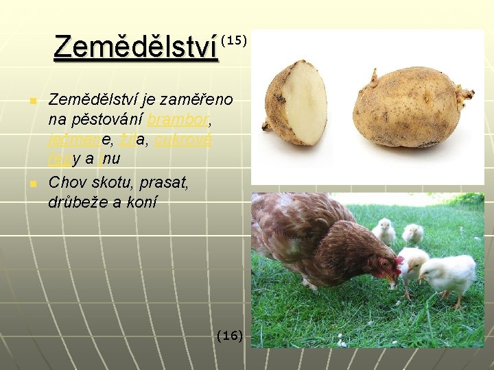 Zemědělství n n (15) Zemědělství je zaměřeno na pěstování brambor, ječmene, žita, cukrové řepy