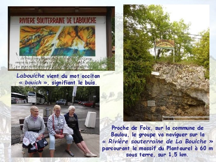 Labouiche vient du mot occitan « bouich » , signifiant le buis. Proche de