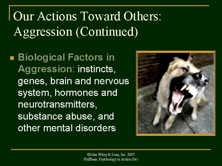 Our Actions Toward Others: Aggression (Continued) n Biological Factors in Aggression: instincts, genes, brain