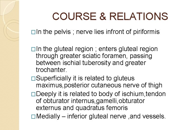 COURSE & RELATIONS �In the pelvis ; nerve lies infront of piriformis the gluteal