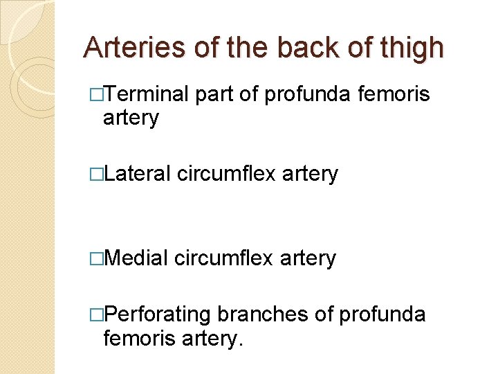 Arteries of the back of thigh �Terminal artery part of profunda femoris �Lateral circumflex