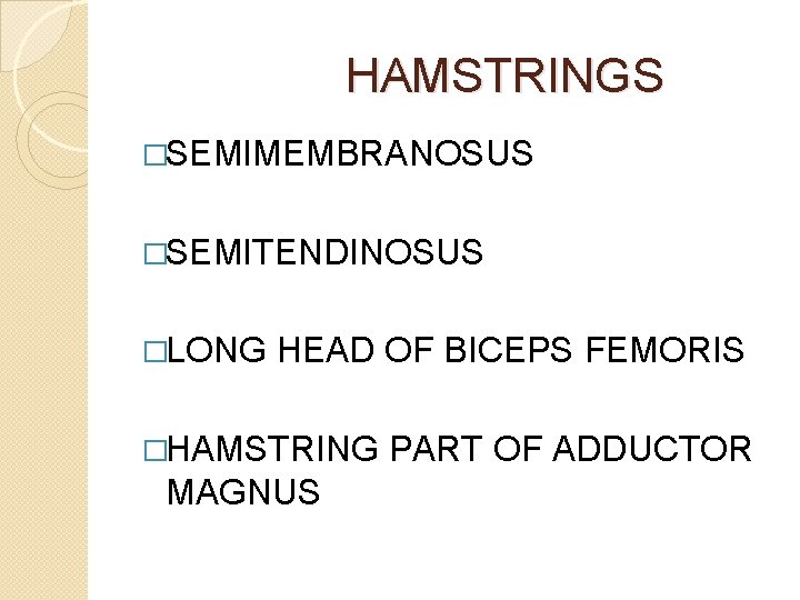 HAMSTRINGS �SEMIMEMBRANOSUS �SEMITENDINOSUS �LONG HEAD OF BICEPS FEMORIS �HAMSTRING MAGNUS PART OF ADDUCTOR 