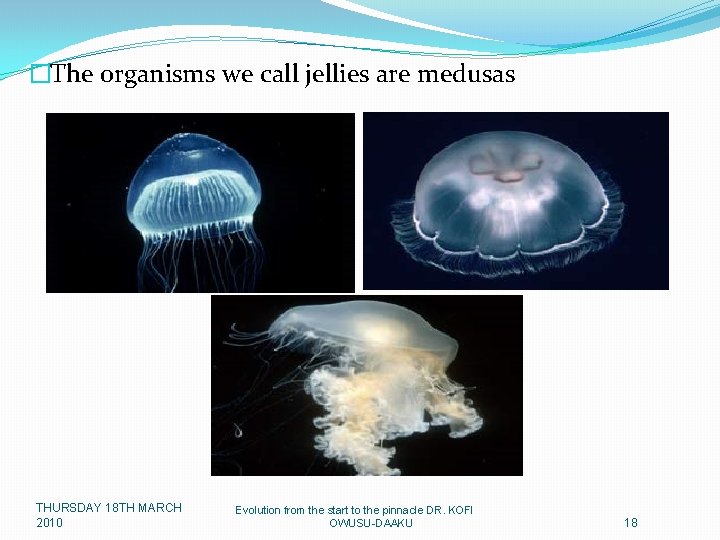 �The organisms we call jellies are medusas THURSDAY 18 TH MARCH 2010 Evolution from