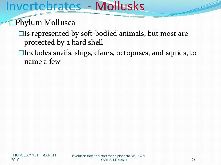 Invertebrates - Mollusks �Phylum Mollusca �Is represented by soft-bodied animals, but most are protected