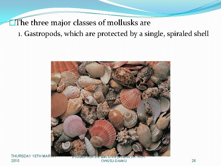 �The three major classes of mollusks are 1. Gastropods, which are protected by a