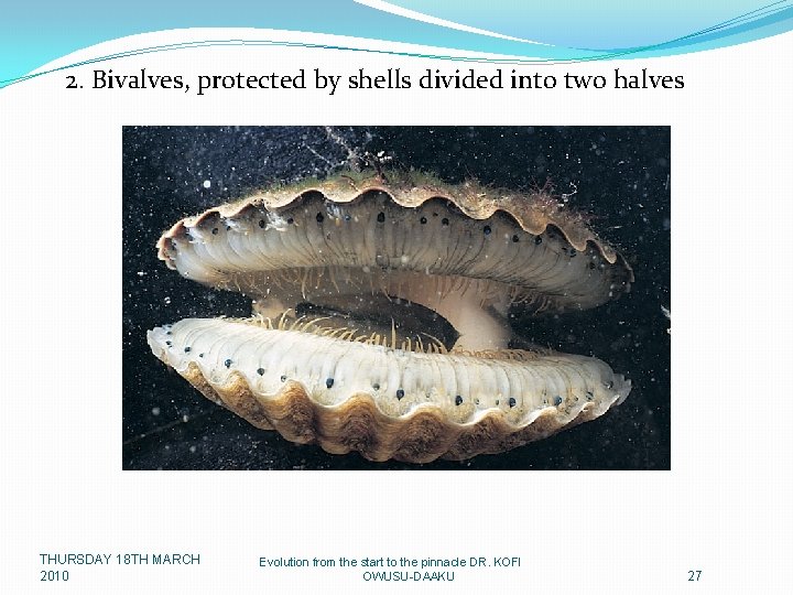 2. Bivalves, protected by shells divided into two halves THURSDAY 18 TH MARCH 2010