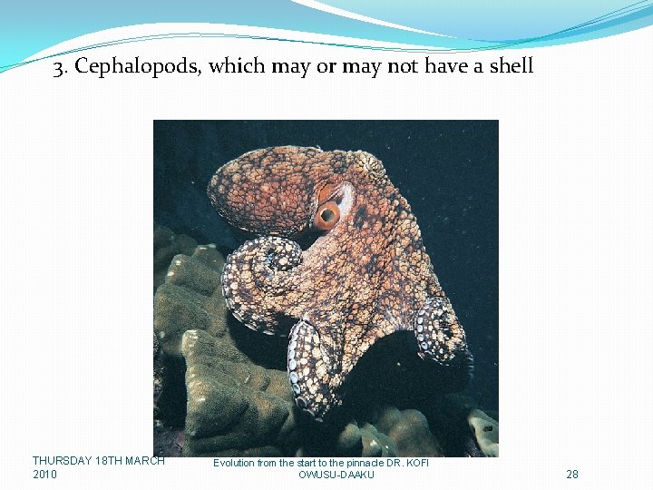 3. Cephalopods, which may or may not have a shell THURSDAY 18 TH MARCH